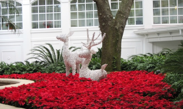 Christmas Display at Grand Floridian