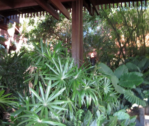 Tropical Foliage at the Polynesian Resort