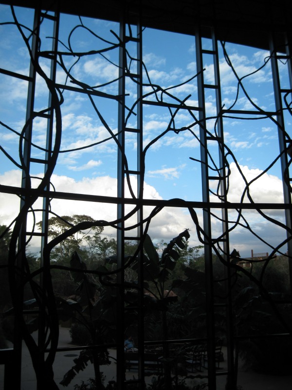 Disney Animal Kingdom Lodge Lobby Window