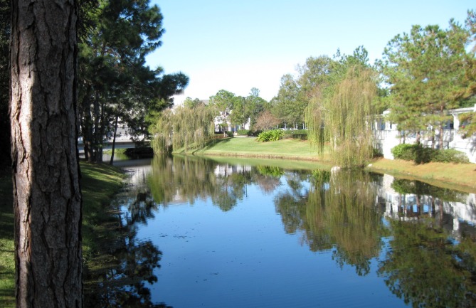 Beach Club Grounds