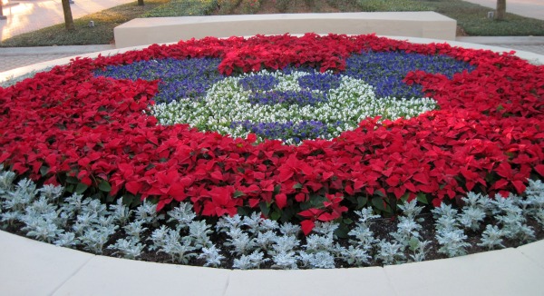 Contemporary Mickey Garden