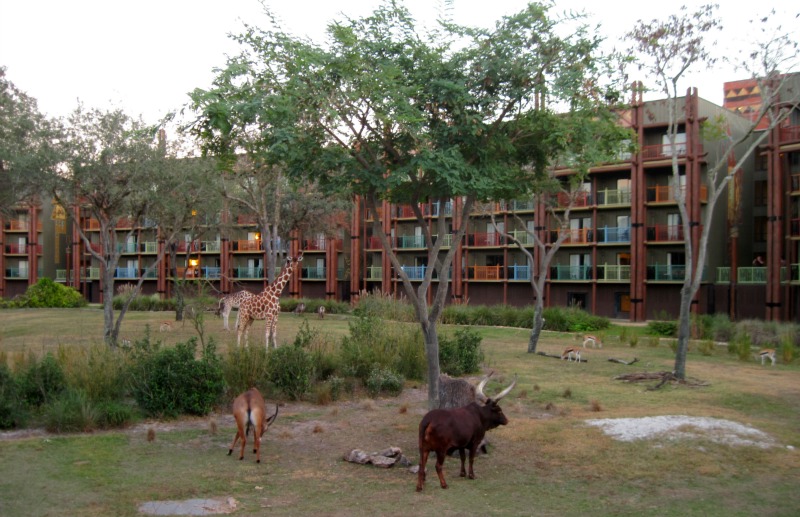 Disney Animal Kingdom Lodge