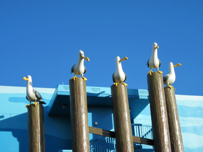Art of Animation Resort Seagulls