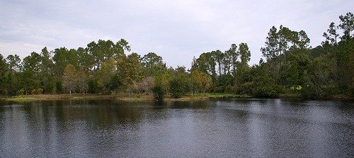 Sassagoula River by HarshLight