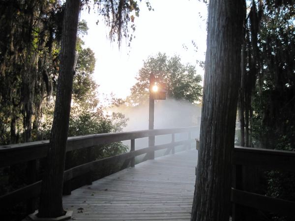 Wilderness Lodge in the Morning